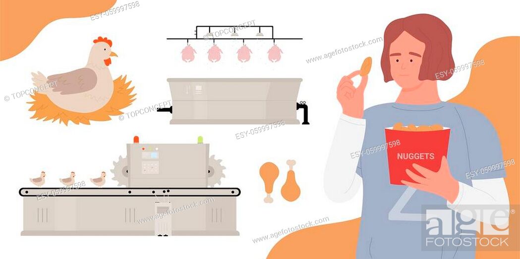 Chicken meat products vector illustration. Cartoon girl teen character eating  chicken nuggets, Stock Vector, Vector And Low Budget Royalty Free Image.  Pic. ESY-059997598 | agefotostock
