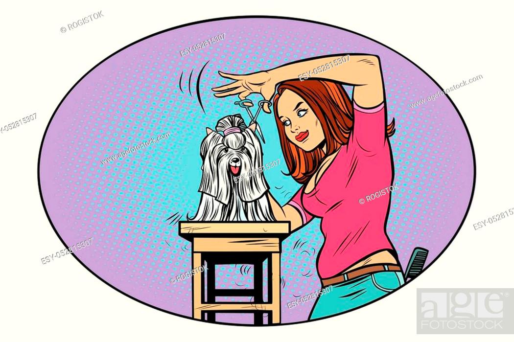 dog grooming, Barber shears pet. Comic book cartoon pop art retro style  vector illustration, Stock Vector, Vector And Low Budget Royalty Free  Image. Pic. ESY-052815307 | agefotostock