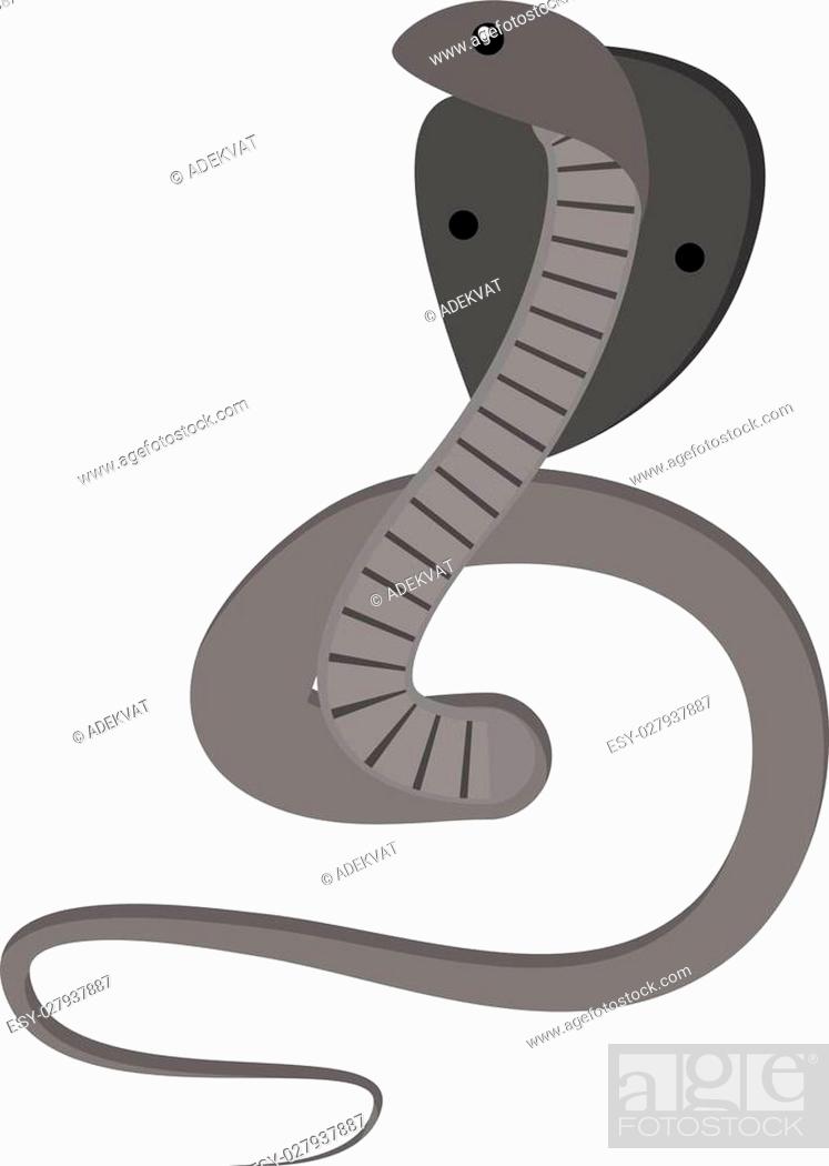 Cobra Snake coiled and ready to strike showing fangs tongue danger reptile  animal wildlife cartoon..., Stock Vector, Vector And Low Budget Royalty  Free Image. Pic. ESY-027937887 | agefotostock