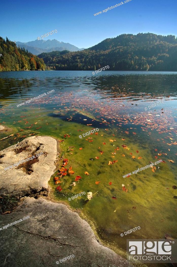 Stock Photo: Hechtsee in autumn, view onto Kaisergebirge, Tyrol, Austria.