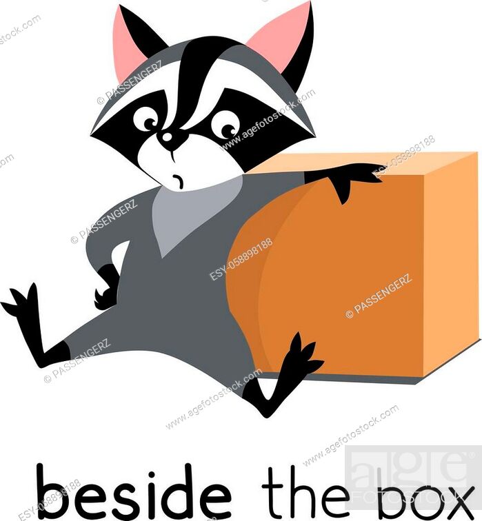 Funny raccoon beside the box. Preposition of place for learning english,  Stock Vector, Vector And Low Budget Royalty Free Image. Pic. ESY-058898188  | agefotostock