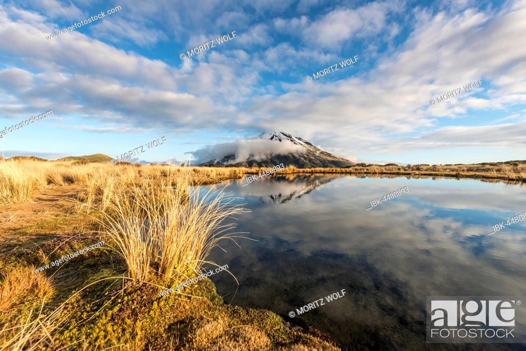 Photo de stock: Reflection in Pouakai Tarn, stratovolcano Mount Taranaki or Mount Egmont, Egmont National Park, Taranaki, New Zealand.