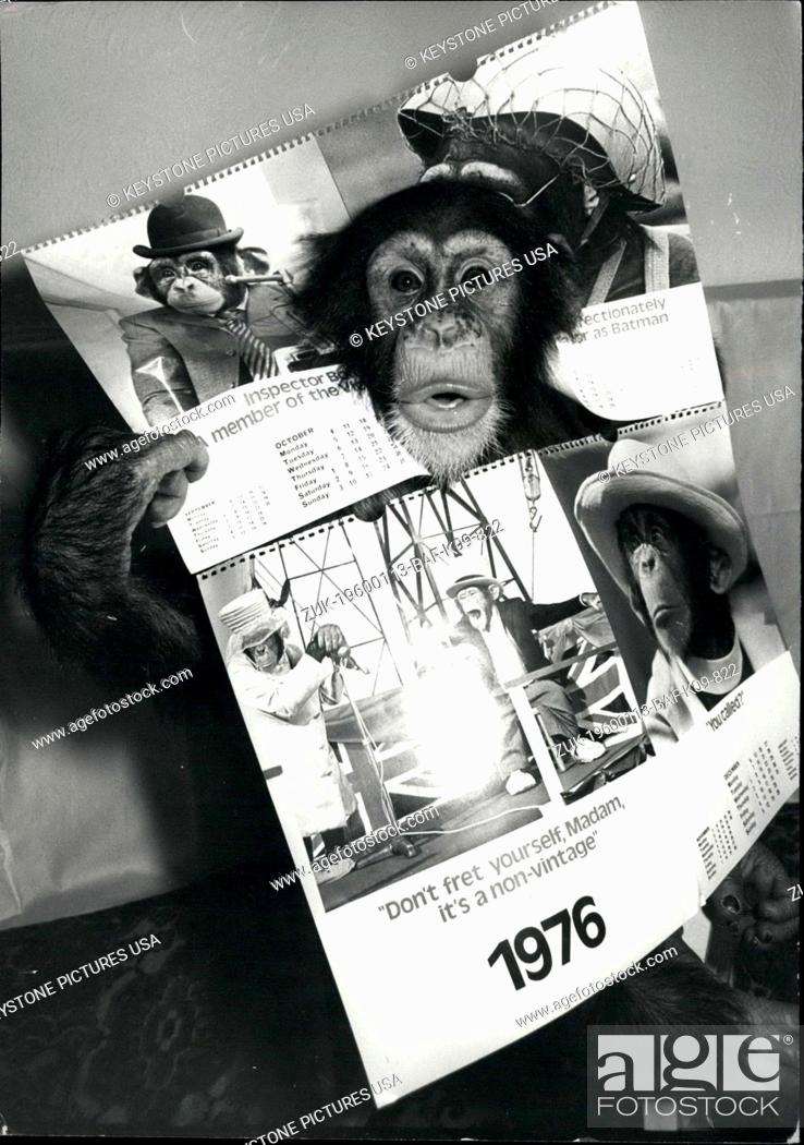 Stock Photo: 1976 - Noddy and Choppers Calendar for 1976 With the end of the famous Pirelli Calendars and their lovely girls, the famous Twycross Zoo chimps Noddy and.