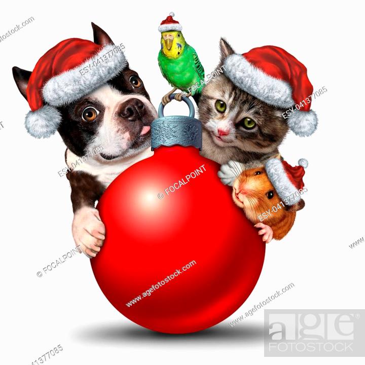 Christmas Pet Hat Scarf Kit Santa Claus Hat for Pet Cats Dogs Puppy Decor WE