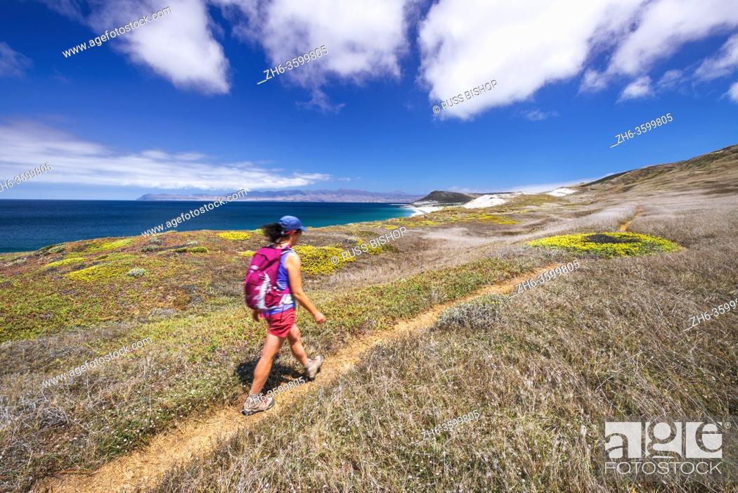 Stock Photo: Hiker on the Skunk Point trail, Santa Rosa Island, Channel Islands National Park, California USA.