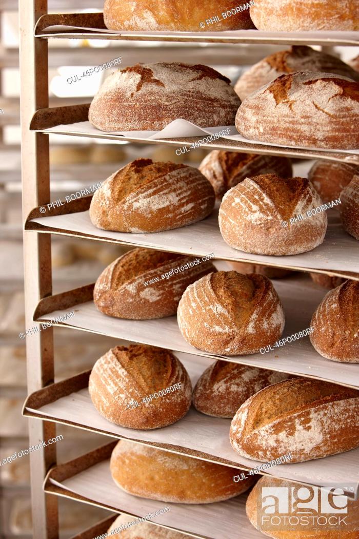 Stock Photo: Trays of bread on rack in kitchen.