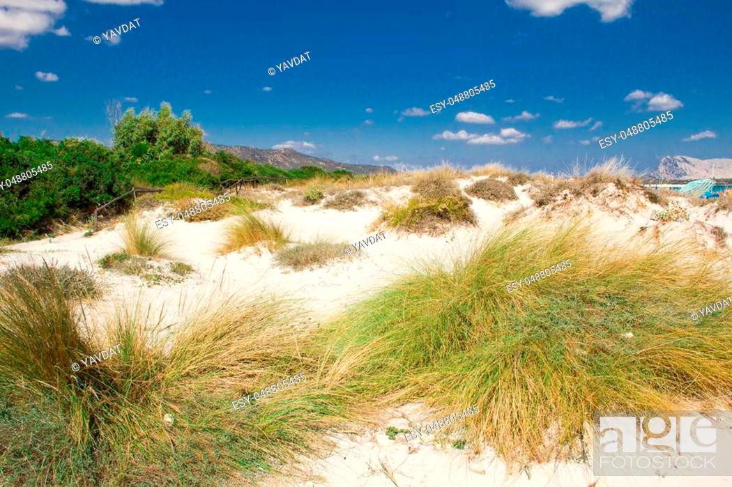 Stock Photo: Sandy beach La Cinta near San-Teodoro, Sardinia, Italy.