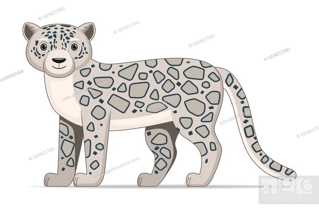 Snow leopard standing on a white background. Cartoon style vector  illustration, Stock Photo, Picture And Low Budget Royalty Free Image. Pic.  ESY-059597454 | agefotostock
