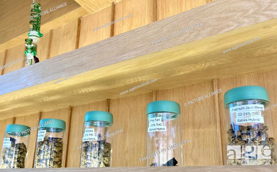 Stock Photo: PRODUCTION - 08 January 2023, Thailand, Bangkok: Several varieties of marijuana stand in large jars in the ""Cannabis Kingdom"" store in the Silom district.