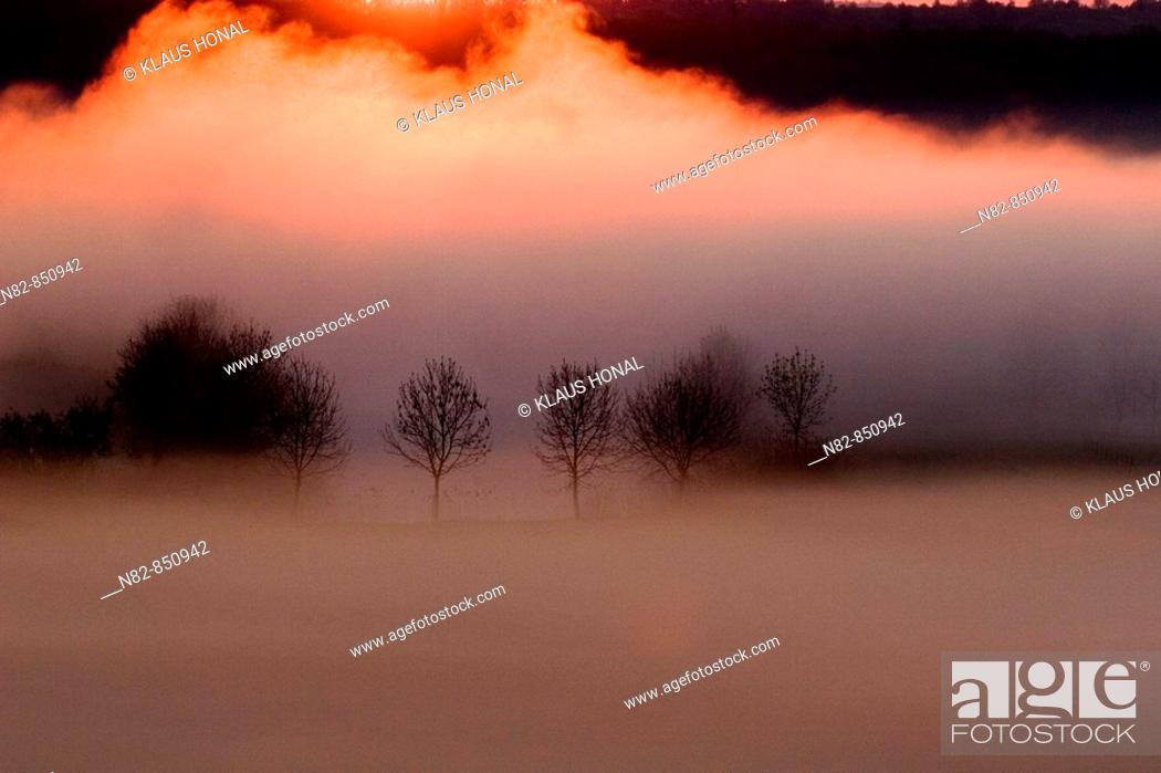 Stock Photo: Foggy morning in spring at the Woernitz river near Wassertruedingen - Middle Franconia, Bavaria / Germany.