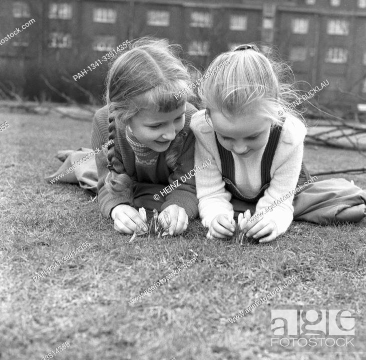 Stock Photo: Two little girls are happy when they see the first crocuses, which predict a soon arrival of spring, on 9 April 1963. | usage worldwide. - /Germany.