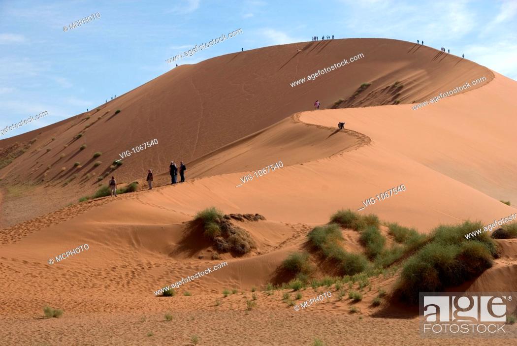 Stock Photo: Afrika, Namibia, Namib-Wüste, Sanddünen des Sossusvlei - Namibia, 15/05/2008.