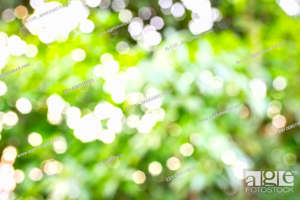 Stock Photo: Defocused abstract green background.