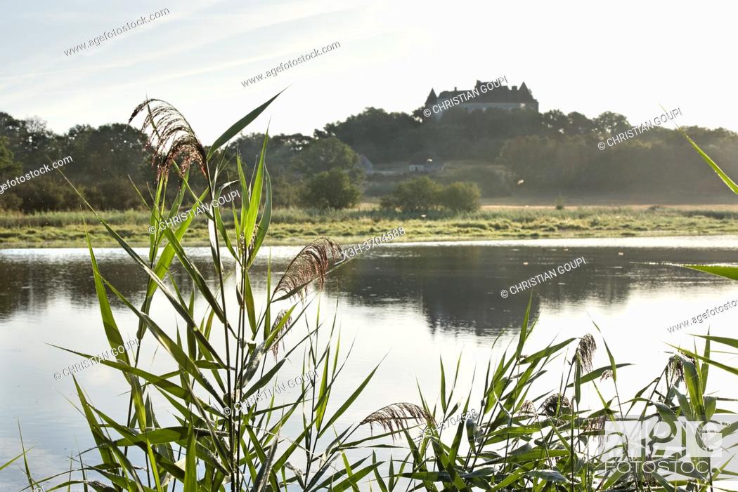 Imagen: Etang de la Mer Rouge avec le Chateau du Bouchet en arriere-plan, Parc naturel regional de la Brenne, departement de l'Indre, Province historique du Berry.