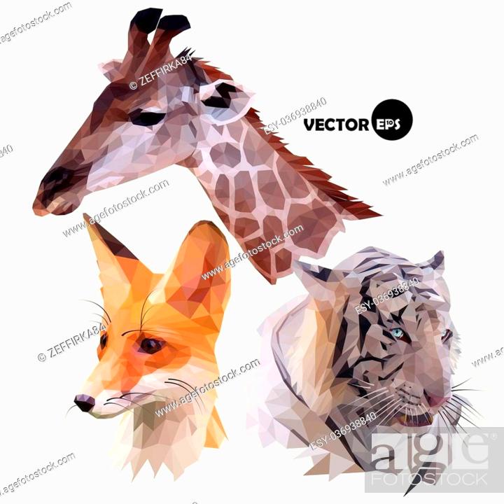 set of portraits of wild animals a giraffe, white tiger, red Fox realistic  in polygonal, low poly, Stock Vector, Vector And Low Budget Royalty Free  Image. Pic. ESY-036938840 | agefotostock
