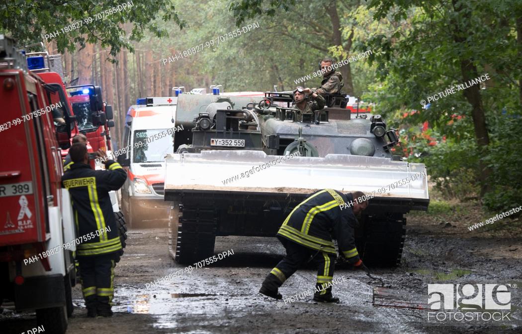 Stock Photo: 27 August 2018, Treuenbrietzen, Germany: A badger type pioneer tank of the German Armed Forces drives through a forest near Treuenbrietzen.