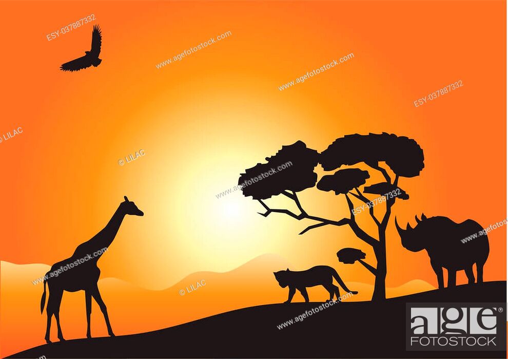 vector african landscape with animals, Stock Vector, Vector And Low Budget  Royalty Free Image. Pic. ESY-037887332 | agefotostock