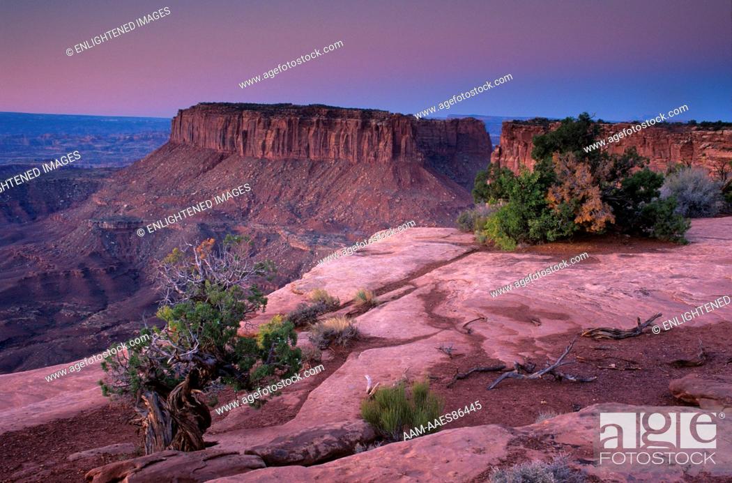 Stock Photo: Canyonlands NP, Utah: Dawn over Junction Butte from Grand View Point, Island in the Sky.
