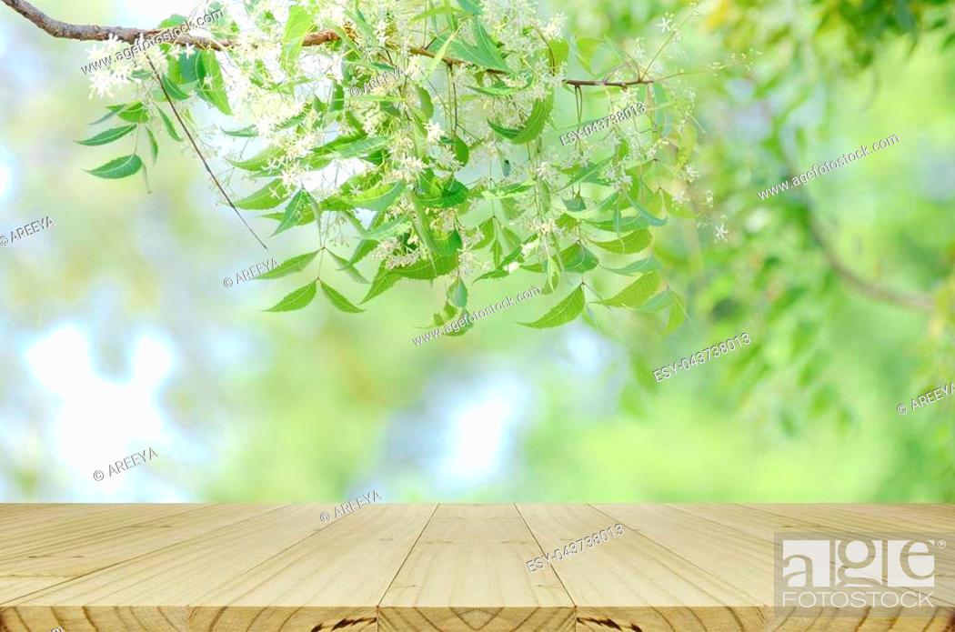 Perspective wood table and nature background with warm morning light tone  for advertising and..., Stock Photo, Picture And Low Budget Royalty Free  Image. Pic. ESY-043738013 | agefotostock