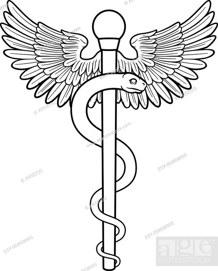 Rod of Asclepius or Aesculapius doctor medical symbol, often mislabelled as  a caduceus, Stock Vector, Vector And Low Budget Royalty Free Image. Pic.  ESY-054938995 | agefotostock