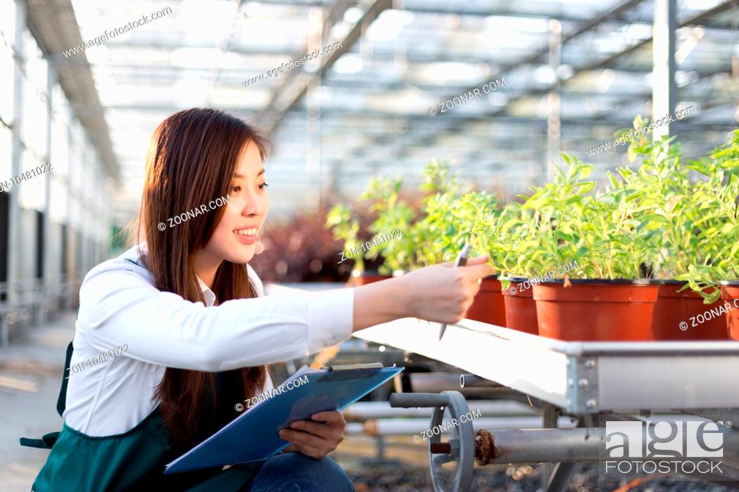 Stock Photo: young beautiful chinese woman works in modern green house.