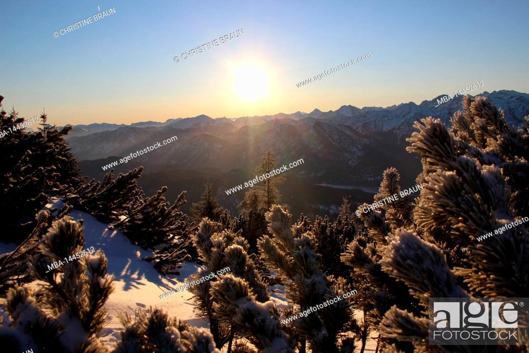 Stock Photo: Winter hike through the mountain forest to Simetsberg. Path, Germany, Bavaria, Walchensee, Einsiedl,.