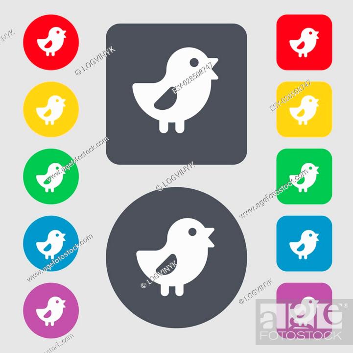 Stock Photo: chicken, Bird icon sign. A set of 12 colored buttons. Flat design. illustration.