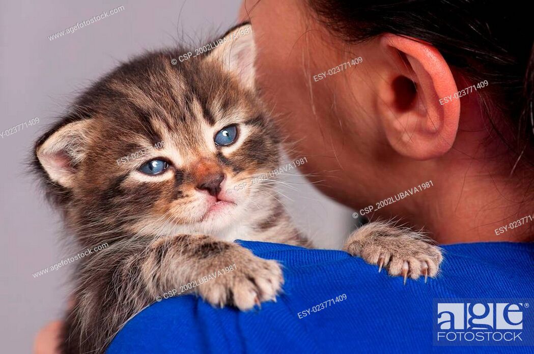 Pictures sad kitten 