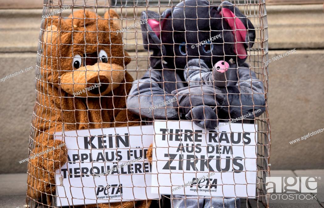Supporters of the animal rights organisation Peta dressed as bear and  elephant sit in a cage and..., Stock Photo, Picture And Rights Managed  Image. Pic. PAH-67803423 | agefotostock