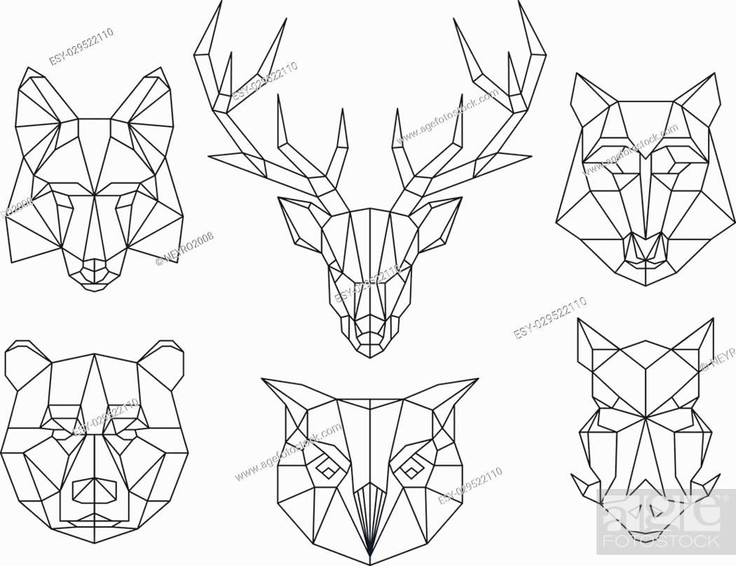 Low poly animals heads. Triangular thin line animals vector set, Stock  Vector, Vector And Low Budget Royalty Free Image. Pic. ESY-029522110 |  agefotostock