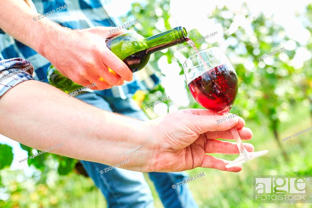 Stock Photo: Hand hält ein Weinglas für Winzer beim Eingießen aus einer Flasche Rotwein.
