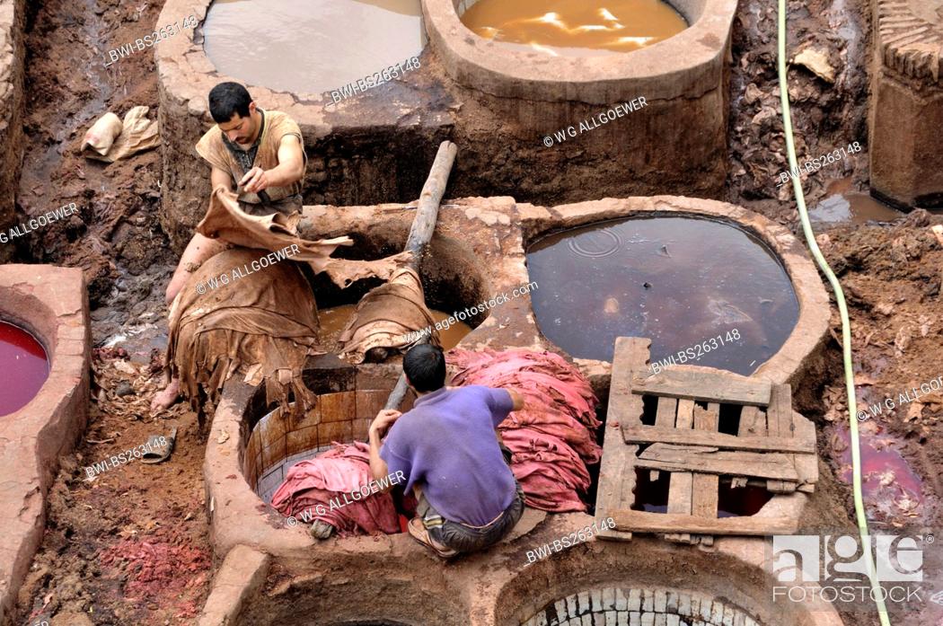 Stock Photo: two men dyeing leather in troughs of tanners' and dyers' quarter chouwara, Morocco, Fes.