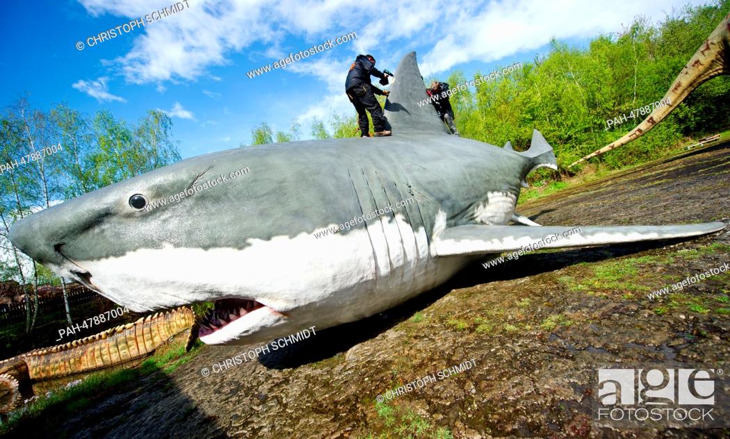 Stock Photo: The dorsal fin is attached to the life-size reconstruction of a Megalodon (prehistoric shark) in the Dinosaur Park in Muenchehagen, Germany, 14 April 2014.