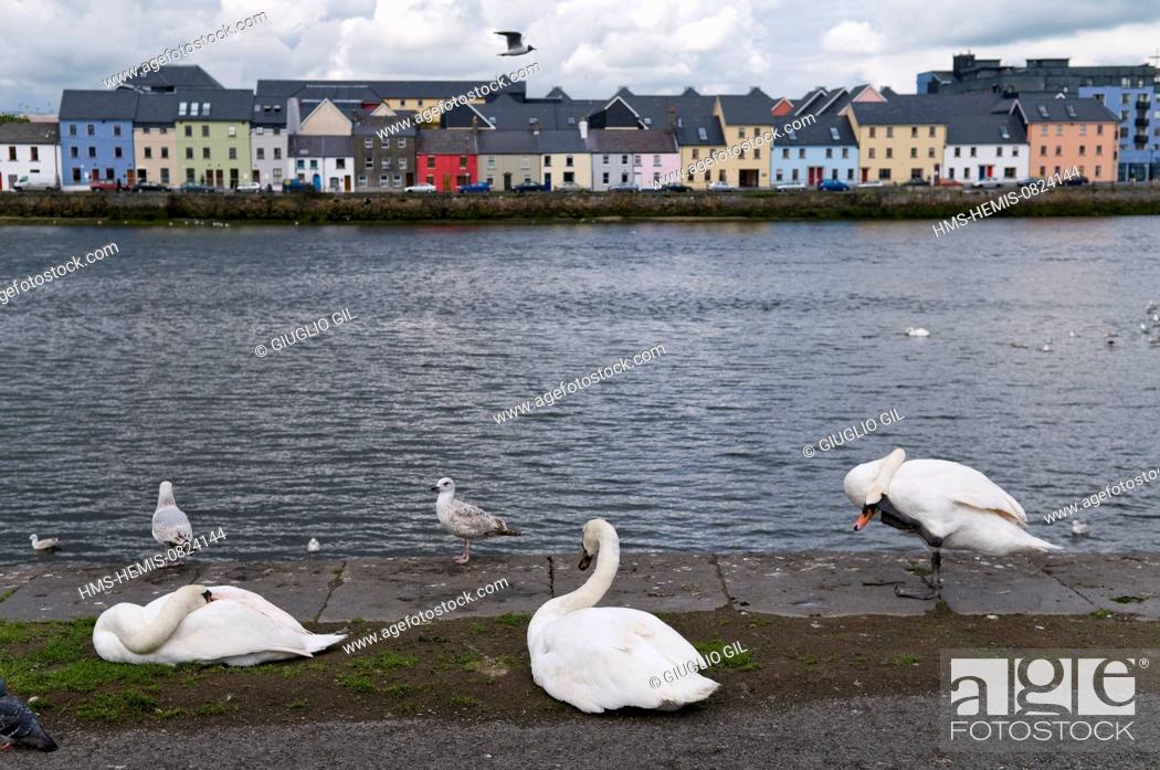 Stock Photo: Republic of Ireland, Connemara, Connacht Province, County and city of Galway, the harbour on Corrib river strart.