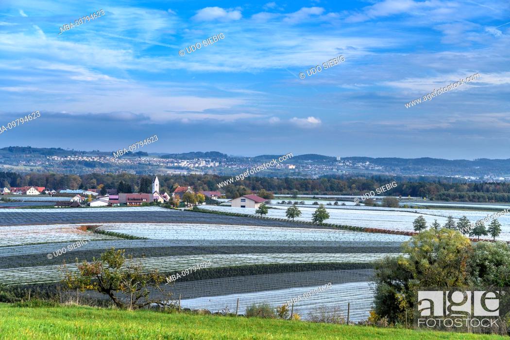 Stock Photo: Germany, Baden-Württemberg, Lake Constance, Ailingen, Habratsweiler, view from Haldenberg.