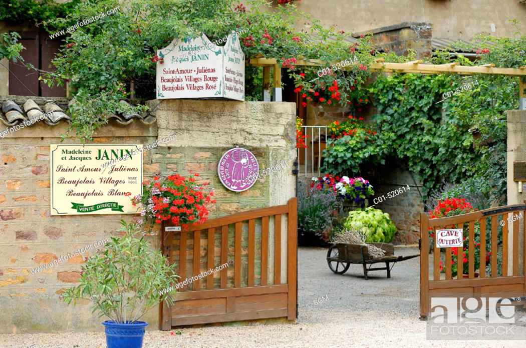 Stock Photo: Wine grower house entrance 'Saint-Amour'. Beaujolais wine country. Rhone Valley. France.