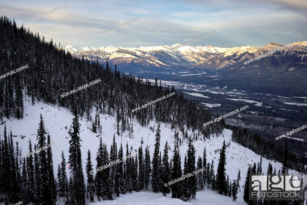 Stock Photo: Snow covered trees with mountains in winter, Kicking Horse Mountain Resort, Golden, British Columbia, Canada.