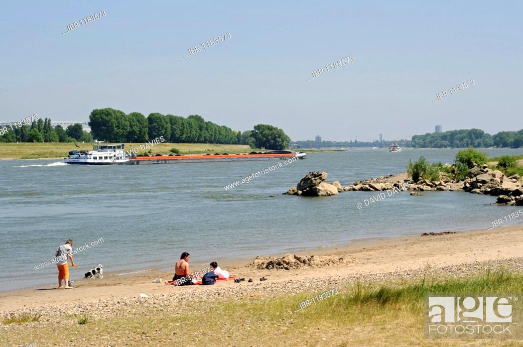 Stock Photo: The banks of the Rhine River, North of Duesseldorf, North Rhine-Westphalia, Germany, Europe.
