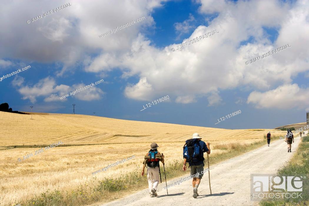 Stock Photo: Saint Jacques Way, Road to Santiago pilgrims near Belorado, Burgos province, Castille-Leon, Spain.