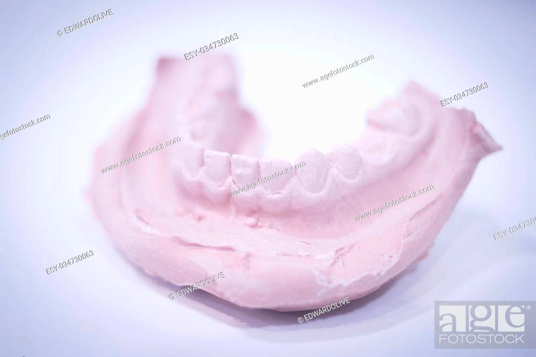 clay model of teeth