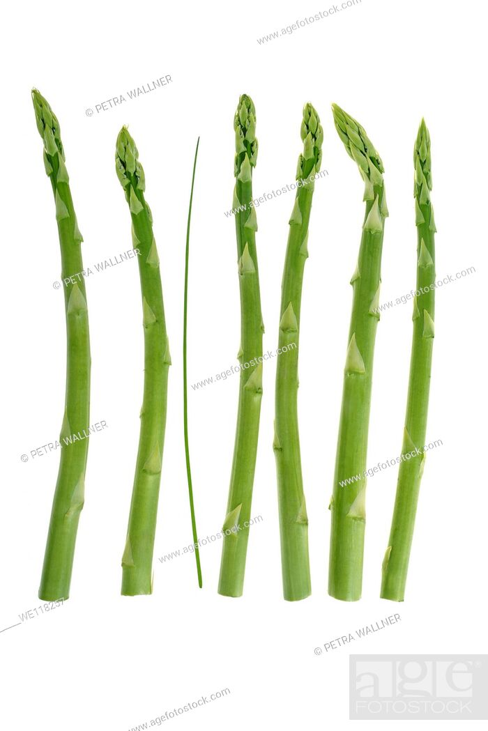 Stock Photo: Green asparagus Asparagus officinalis and chive Allium schoenoprasum, symbol for weight loss or physical difference.