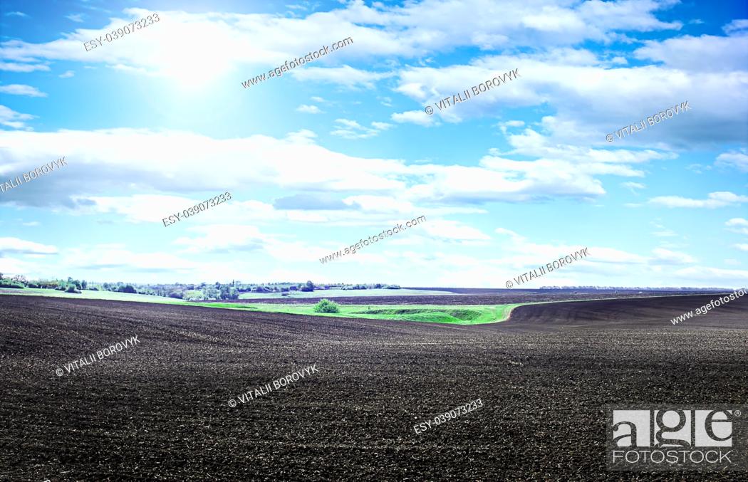 Imagen: Field plowed, sown cereals. Plowed field in spring day. Black soil plowed field. Plowed field in the blue sky.