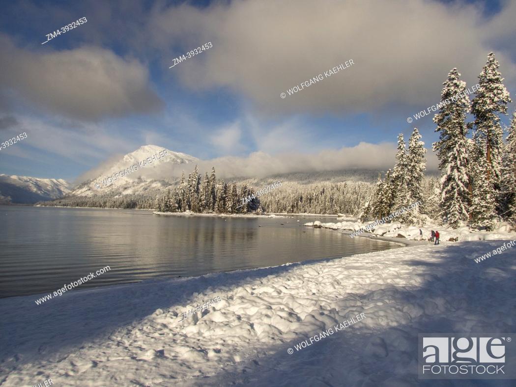 Photo de stock: View of the shoreline and the snow-covered forest at Lake Wenatchee State Park in eastern Washington State, USA.