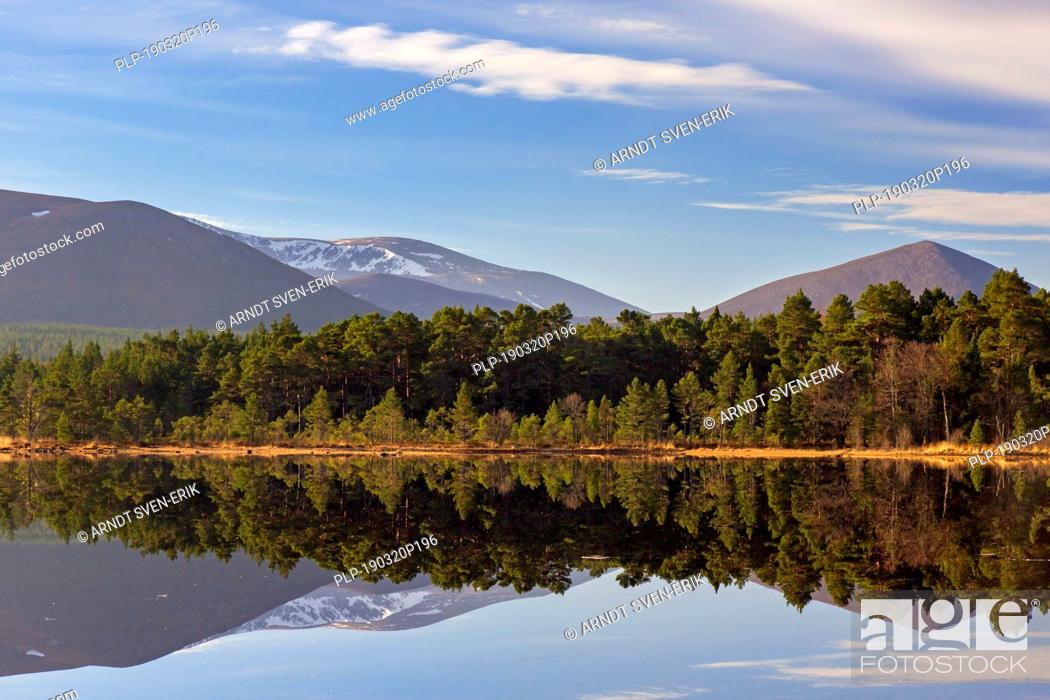 Stock Photo: Loch Morlich and Cairngorm Mountains, Cairngorms National Park near Aviemore, Badenoch and Strathspey, Scotland, UK.