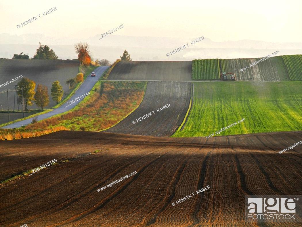 Photo de stock: Agriculture in Lasser Poland near Slomniki.