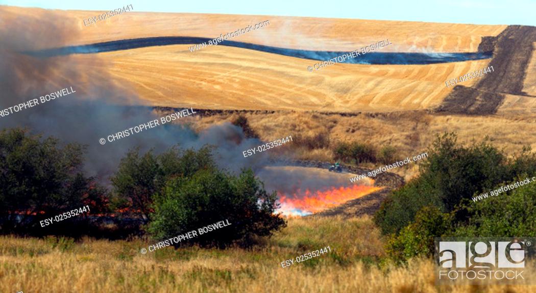 Stock Photo: Farmers do a controlled burn before plowing after harvest.