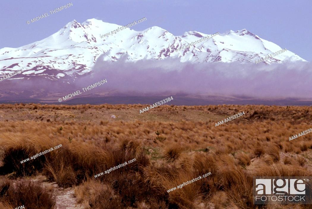 Postkarte Mount Ruapehu from Desert Road Neuseeland 