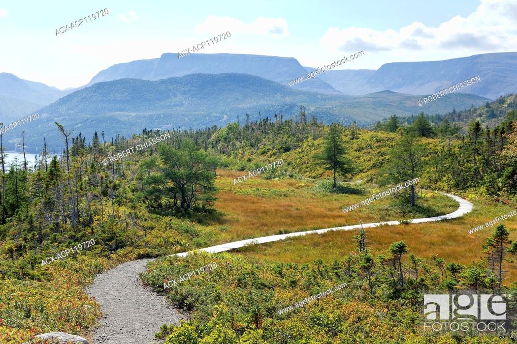 Stock Photo: The Lookout Trail in Gros Morne National Park leads to the top of Partridgeberry Hill which offers sweeping views in several different directions including this.