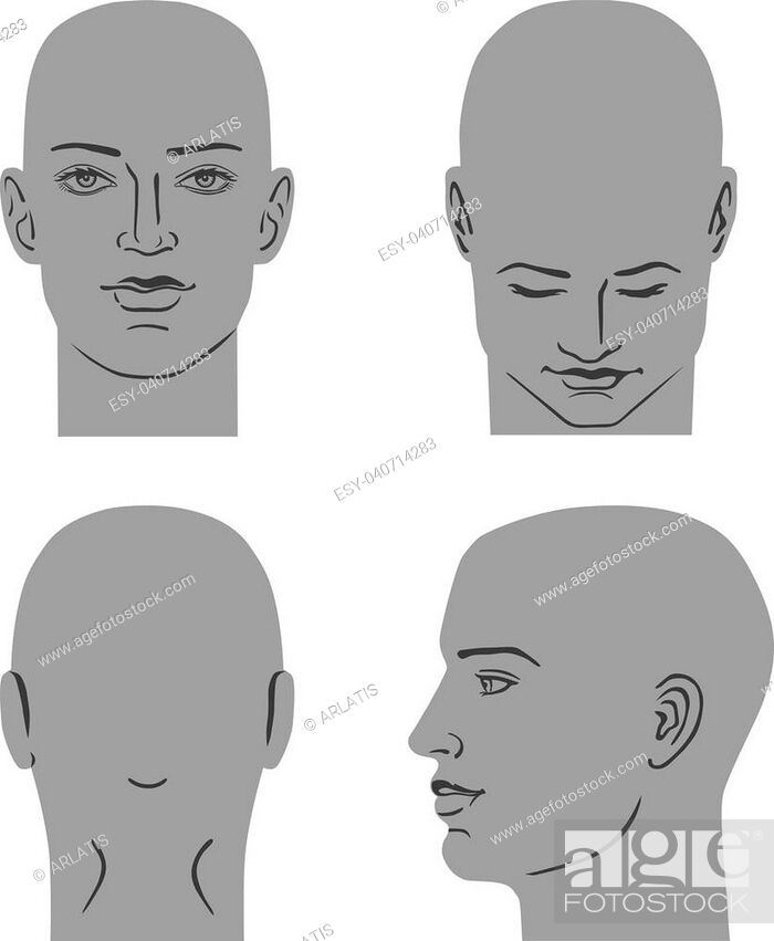 Man hairstyle head set (front, back, side views), vector illustration  isolated on white background, Stock Vector, Vector And Low Budget Royalty  Free Image. Pic. ESY-040714283 | agefotostock