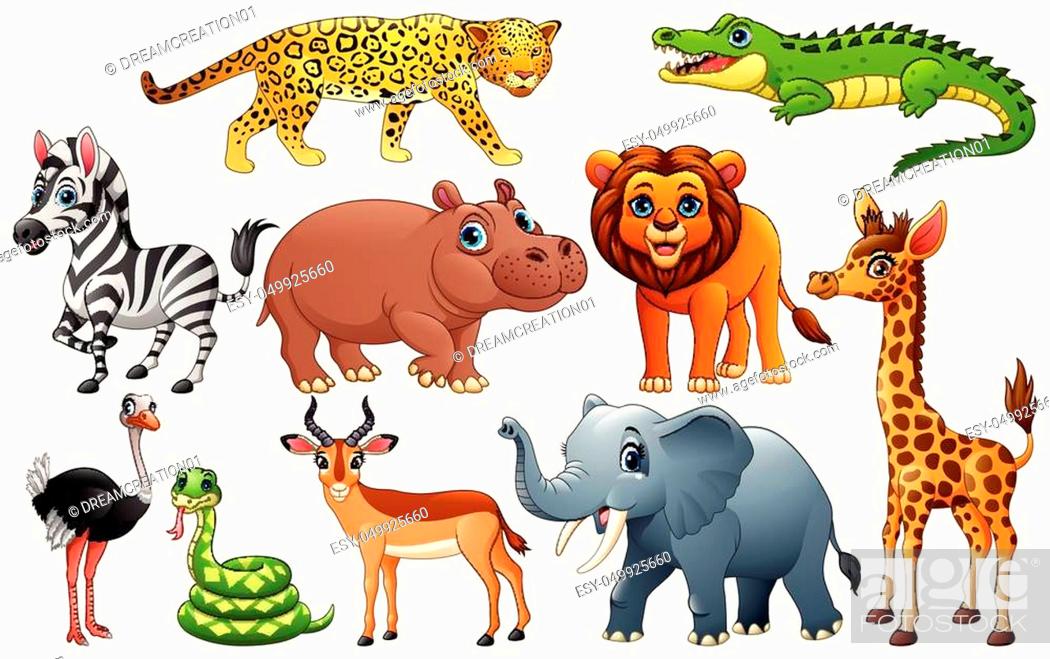 illustration of Cartoon wild animals on white background, Stock Vector,  Vector And Low Budget Royalty Free Image. Pic. ESY-049925660 | agefotostock